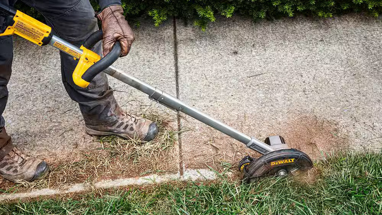 Man uses DeWalt edger