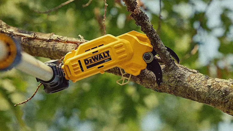 Closeup of DeWalt pole pruner head