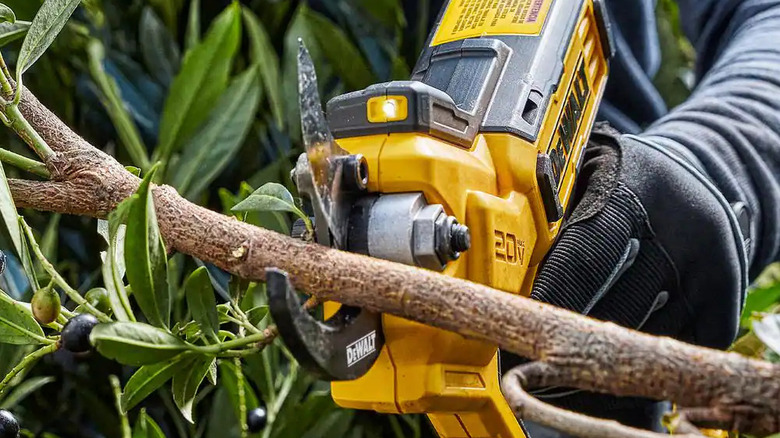 Closup of DeWalt Pruner