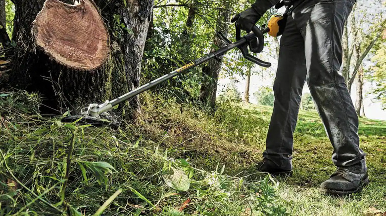 DeWalt brush cutter attachment in action