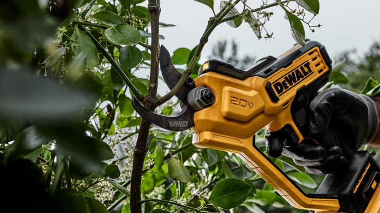 DeWalt pruning shears cutting a branch