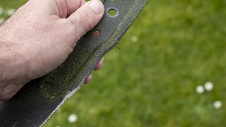 Person holding a lawnmower blade