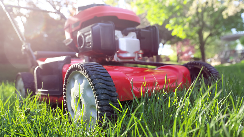 Person using lawnmower to cut grass