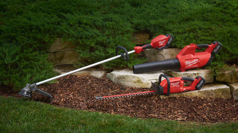 Tools displayed on rocks and mulch