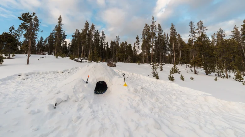 These Norwegian Soldiers Still Use An Old-School Tactic To Hide From Drones