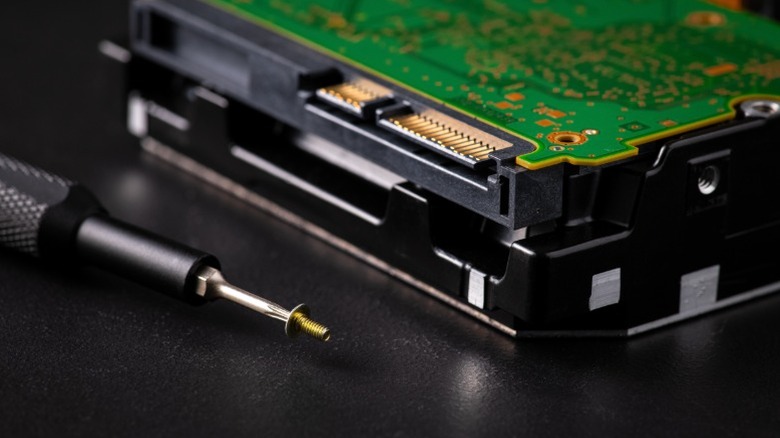 Close-up of a SATA hard drive and a magnetic screwdriver holding one of the drive bay screws