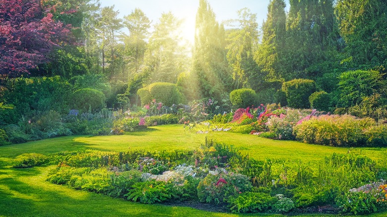 A garden with cut grass and rays of sunshine