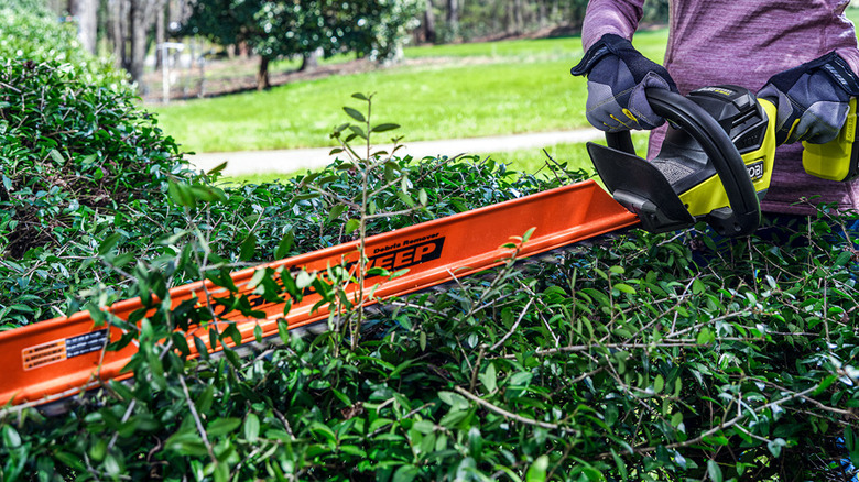ryobi 18V One+ 24-Inch Hedge Trimmer in use