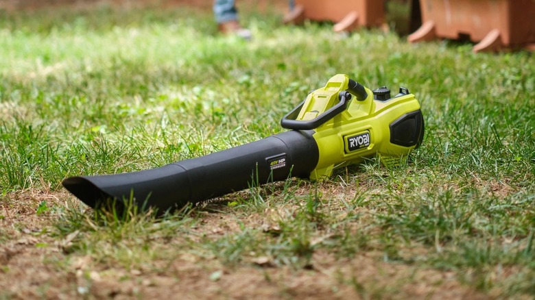 a well-landscaped yard with a Ryobi tool