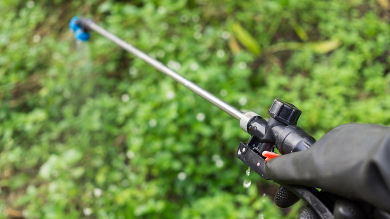 handheld garden sprayer