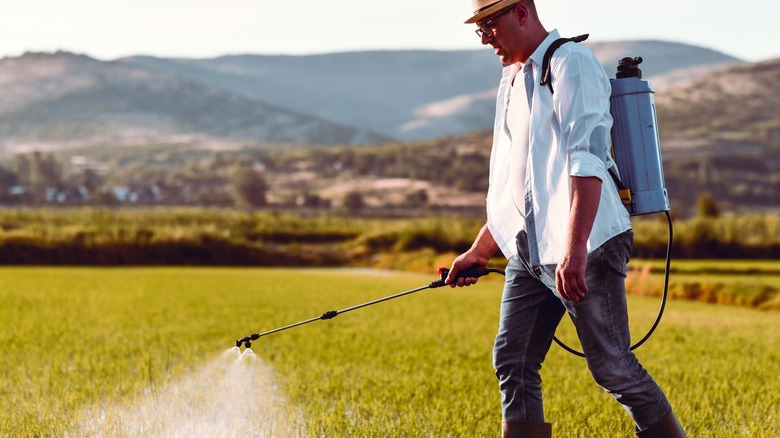 using backpack sprayer on field