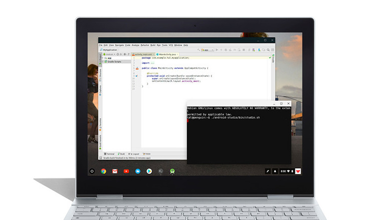 Chromebook running Linux