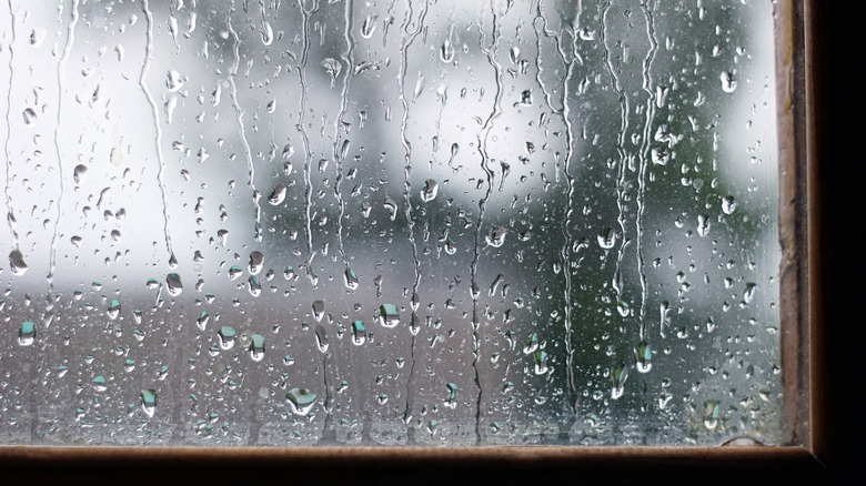 Rain droplets covering window outside