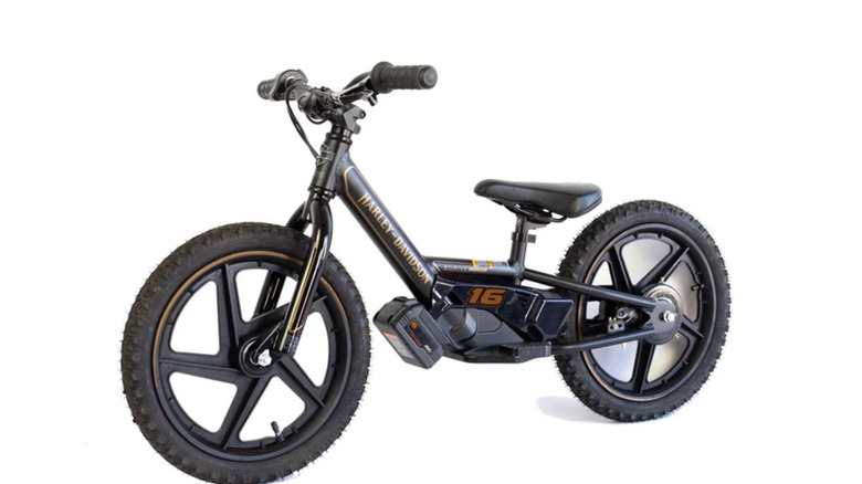 5 Things You Probably Didn't Realize Harley-Davidson Makes