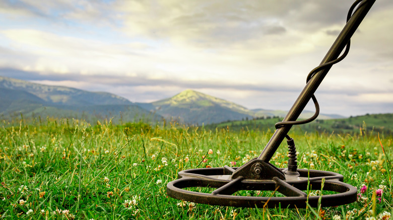 Close-up of a metal detector in a grassy field with mountains in the background