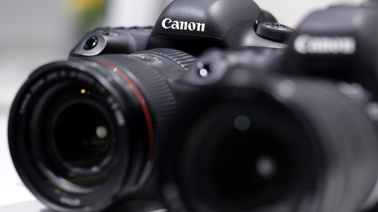 Canon DSLR bodies