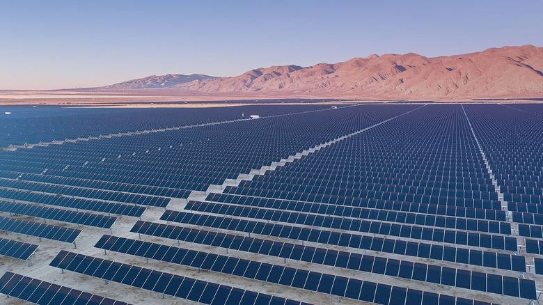 an avantus solar farm