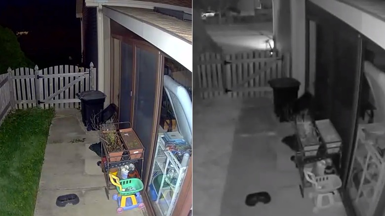 Before and After
