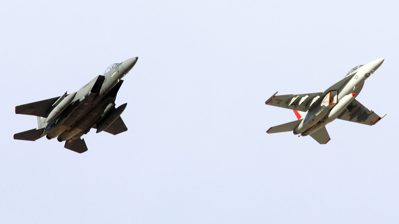F-15E Strike Eagle and F/A-18 Super Hornet in flight