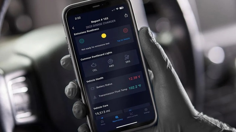 A person reading a vehicle report on their phone.