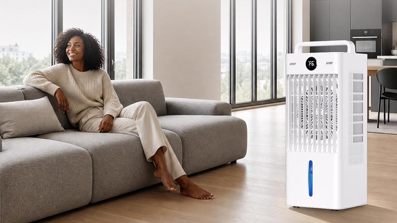 woman next to air cooler