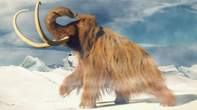 Illustration of a mammoth