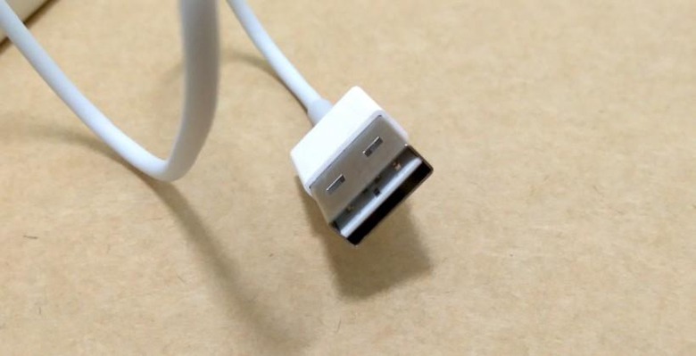 iPhone 6 reversible cable