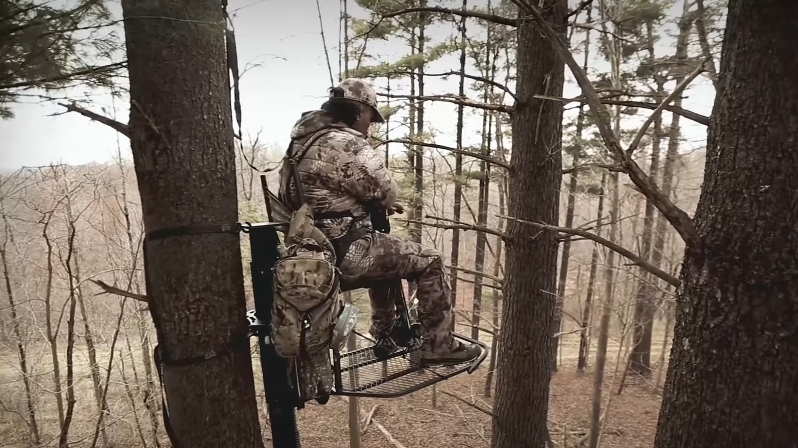This Electric Tree Stand Lift Might Not Be On Your Radar For Hunting Season, But It Should Be thumbnail