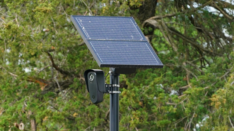 Flock safety license plate reader with trees in the background