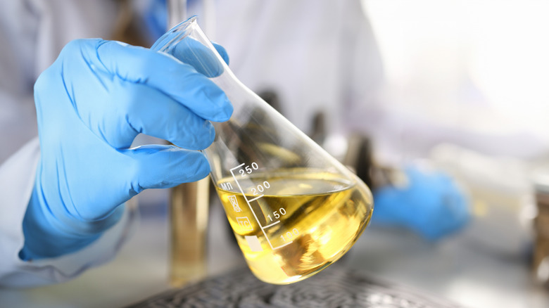 Close-up of person with gloved hand holding graduated beaker partially filled with yellow diesel fuel