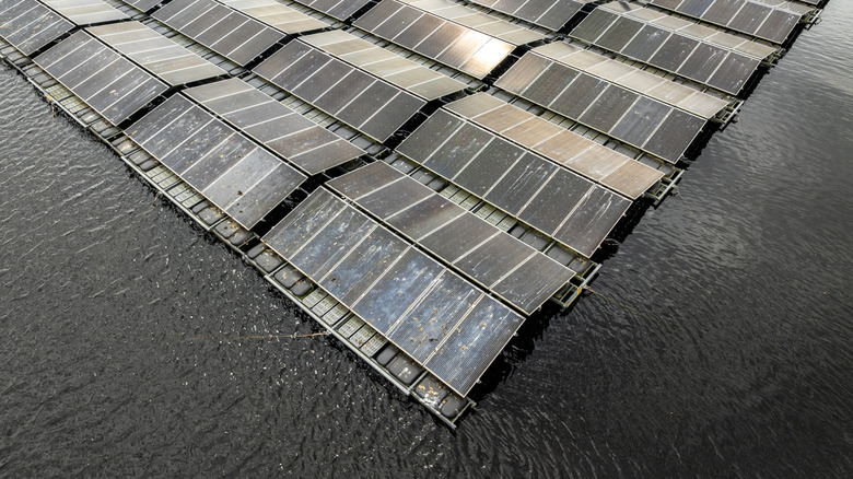 Closer view of the solar panels at Bomhofsplas solar park