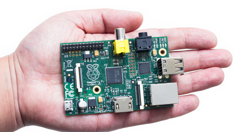 person holding raspberry pi board