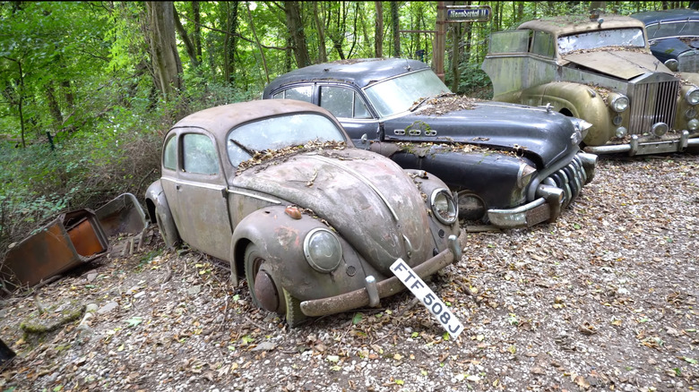 A run-down Volkswagen Beetle next to a Buick and Rolls-Royce Phantom in Fröhlich's car graveyard