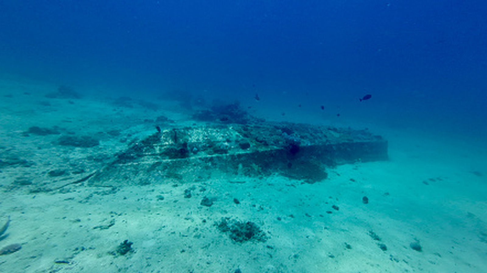 This Historically Significant Shipwreck Was Hiding In The Desert For 500 Years