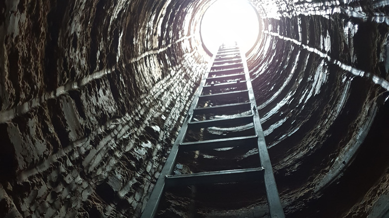 Abandoned mineshaft ladder