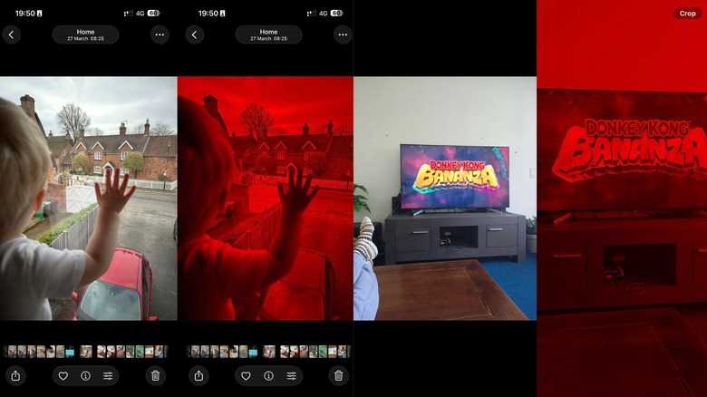 Image red tint issue on iPhone.