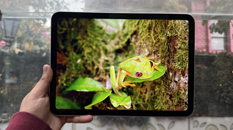 Hand holding 11th Gen iPad up in front of greenery