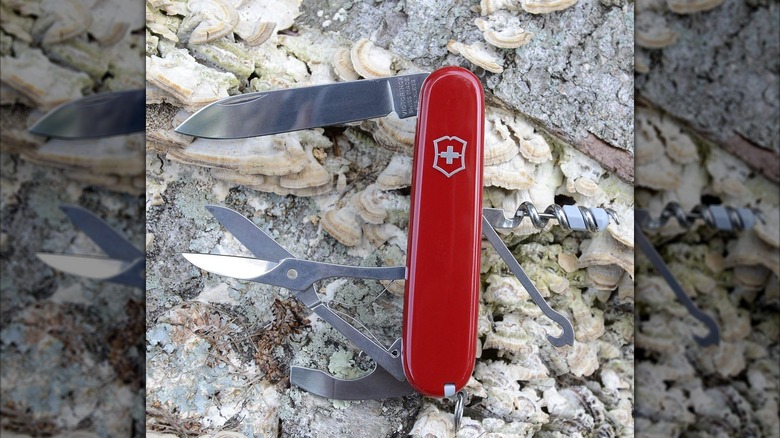 Compact Swiss Army Knife on rocks
