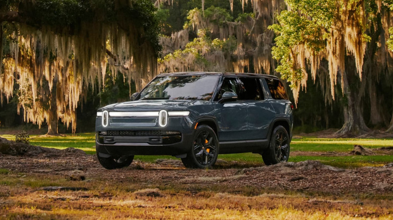 Green Rivian R1S parked by the side of a street with palm trees in the background