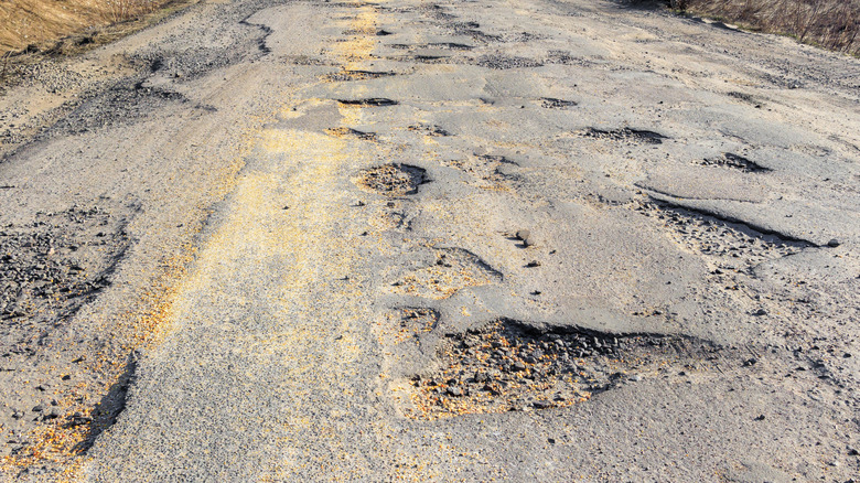 A crack and pothole-covered road.