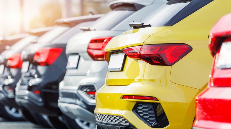 Used SUVs lined up at a dealership