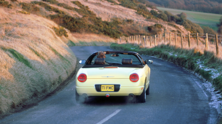 Rear view of yellow Ford Thunderbird on mountain road