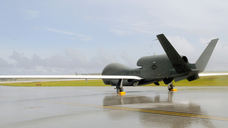 global hawk drone
