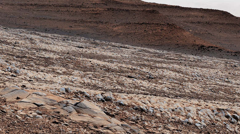 Rocks on Mars