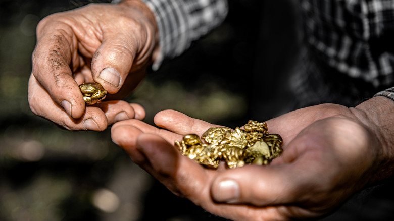 Elderly man's hands holding pieces of gold nuggets