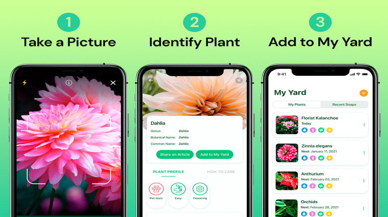 Plantum - AI Plant Identifier Premium Plan: Lifetime Subscription (For iOS Only)