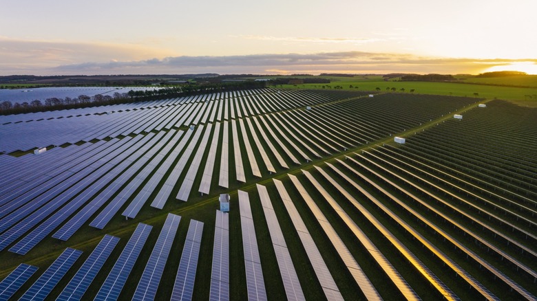 Overhead view of a solar farm at dusk