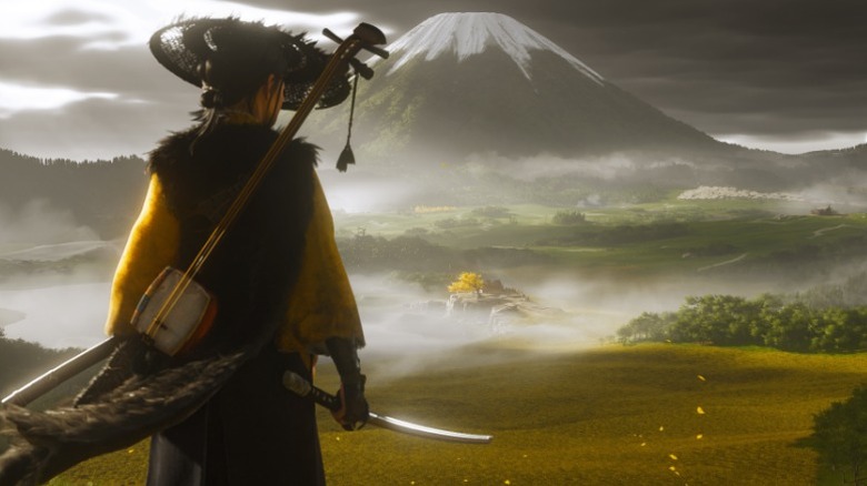 Atsu looking at lush field before mountain