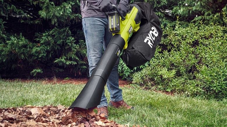 This Ryobi Kit Is Perfect Choice For A Pristine Yard And Leaf-Free Lawns