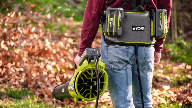 Ryobi belt power supply and blower